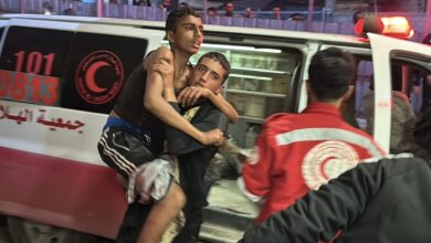 AA 20251119 39753412 39753387 JYSH SRYYL YQTL 10 FLSTYNYYN WYSYB SHRT BSLSL GRT L GZ