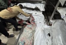 AA 20251119 39753412 39753411 JYSH SRYYL YQTL 10 FLSTYNYYN WYSYB SHRT BSLSL GRT L GZ