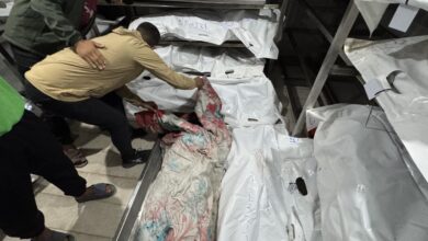 AA 20251119 39753412 39753411 JYSH SRYYL YQTL 10 FLSTYNYYN WYSYB SHRT BSLSL GRT L GZ