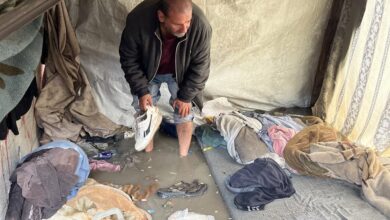 AA 20251125 39800265 39800244 LMTR TGRQ SHRT LKHYM BMWSY KHN YWNS WTHDHYR MN KRTH NSNY