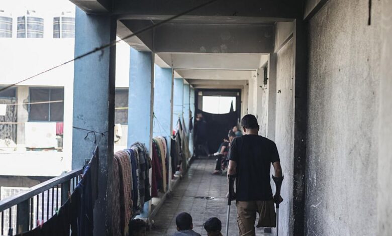 D985D8A8D8AAD988D8B1D98820D8A7D984D8A7D994D8B7D8B1D8A7D98120D981D9