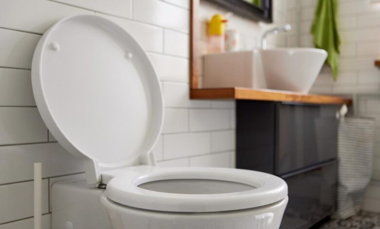 اليوم العالمي للمراحيض.. 3.4 مليارات إنسان بلا صرف صحي آمن 1 GettyImages 1714404601