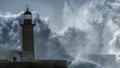 GettyImages 2203645022