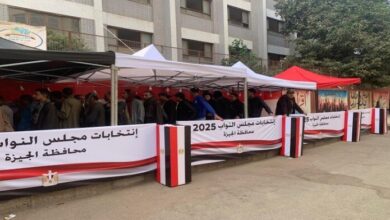 ما هي خطوات التصويت الصحيح في انتخابات مجلس النواب 2025؟ 5 elaosboa05268