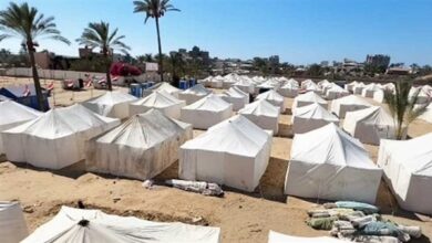 اللجنة المصرية بغزة: استجابة فورية لدعم مخيمات النزوح مع دخول الشتاء 5 elaosboa24697