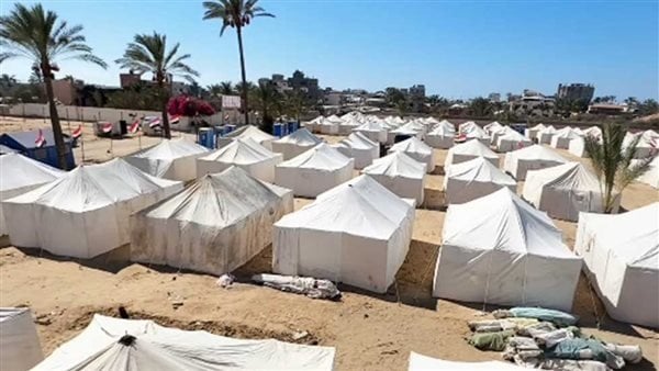 اللجنة المصرية بغزة: استجابة فورية لدعم مخيمات النزوح مع دخول الشتاء 1 elaosboa24697