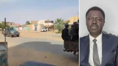 حاكم إقليم دارفور يتهم الدعم السريع بتنفيذ تطهير عرقي ممنهج ضد السكان 5 elaosboa30475