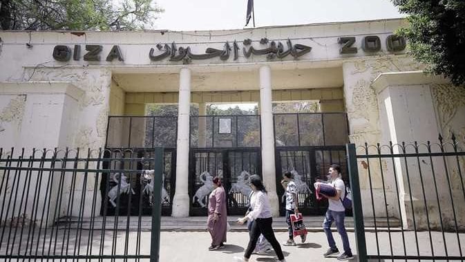موعد إعادة افتتاح حديقة الحيوان بالجيزة 2025 بعد التطوير 1 elaosboa46187 1