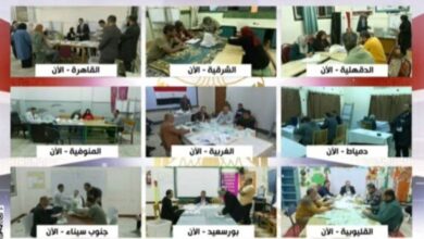 بعد انتهاء التصويت في انتخابات النواب 2025.. ما هو موعد إعلان النتيجة؟ 5 elaosboa60591