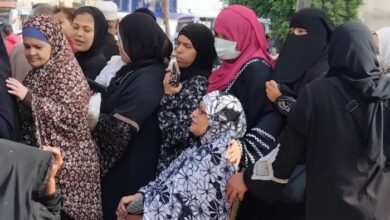 بالزغاريد.. سيدات الجيزة يزين لجان انتخابات مجلس النواب 2025 5 elaosboa67358
