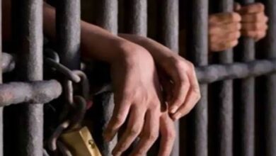 تأجيل محاكمة المتهمين بقتل تاجر الذهب برشيد في البحيرة لجلسة ديسمبر المُقبل 5 elaosboa68273