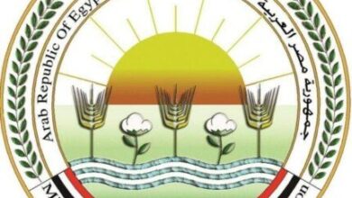 «الزراعة»: إزالة 167 حالة تعد في المهد خلال يومين 5 elaosboa71456