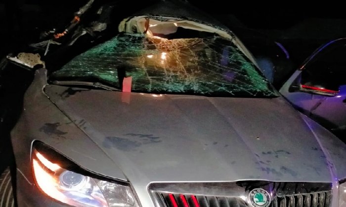 ذهاب بلاعودة.. تفاصيل حادث مأساوي أنهى حياة 5 أفراد من أسرة واحدة بالطريق الساحلي بكفرالدوار 1 elaosboa71650