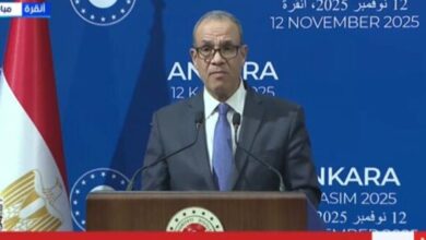 «عبد العاطي»: نتطلع لزيادة التعاون التجاري مع تركيا إلى نحو 15 مليار دولار خلال السنوات الخمس المقبلة 5 elaosboa72950