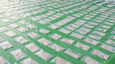 يقظة أمنية.. «الداخلية» تحبط محاولة لتهريب مخدرات قيمتها 2.73 مليار جنيه 5 elaosboa74961