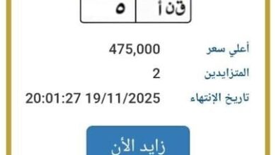 سعرها يقترب من نصف مليون جنيه.. مزاد علني على لوحة سيارة مميزة 5 elaosboa85316