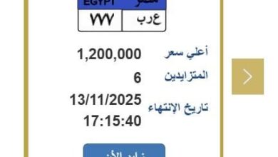 مزاد علني على لوحة سيارة مميزة تتجاوز قيمتها المليون جنيه.. خطوات التقديم 6 elaosboa96217 1