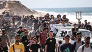 thumbs b c 3f0510b21510ccaa1249075c5dae218e 0