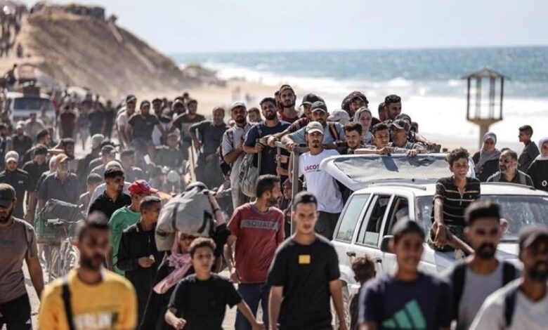 thumbs b c 3f0510b21510ccaa1249075c5dae218e 0