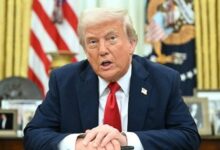 1764776028 elaosboa43578