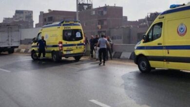 1765041167 elaosboa46719 1