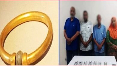 1765460214 elaosboa27613