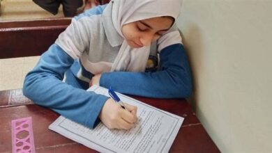 1766393212 elaosboa23169