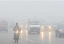 1767037957 elaosboa70296