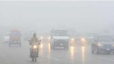 1767037957 elaosboa70296