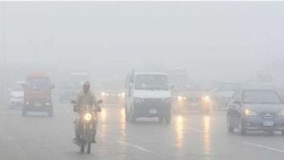 1767037957 elaosboa70296