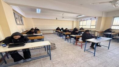 1767173072 elaosboa07193