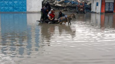 2025 12 12T122713Z 1897226099 RC2WEIAE14ZU RTRMADP 3 ISRAEL PALESTINIANS GAZA