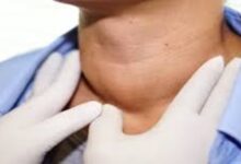 5691321401366202512120125482548