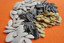 5961037377933202512040947334733