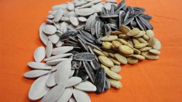 5961037377933202512040947334733