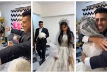 620205561538620251229101304134