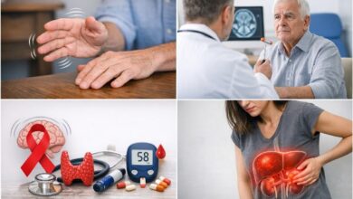 6202055615386202512291049434943