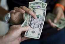 626525040358202512040329432943