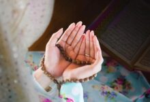 626525040358202512120213241324