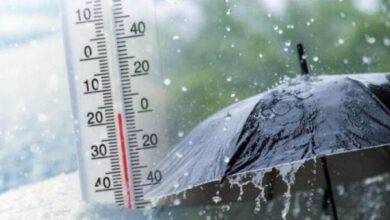 6402101893998202512281236213621