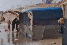 645146855363202512120435193519