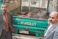 6921829931814202512091121162116