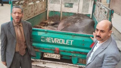 6921829931814202512091121162116