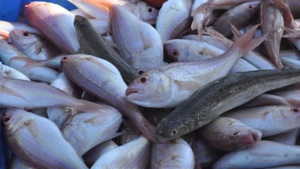 7011395793464202512290441404140