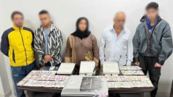 728752937161202512120114251425