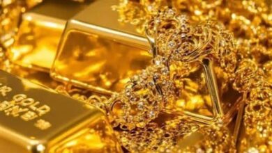 730770149900202512291247454745