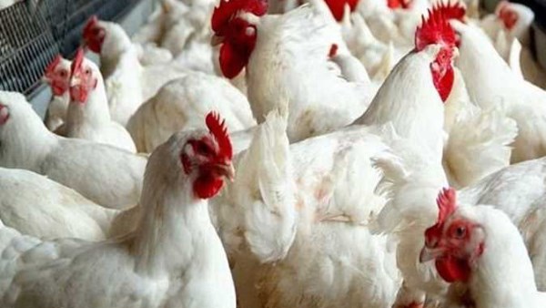 730770149900202512300134173417