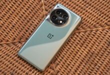 7311535884578202512040724312431