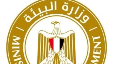 7781752482563202501010634483448