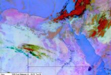 7781752482563202512091010171017